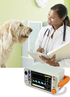 veterinary vital signs monitor